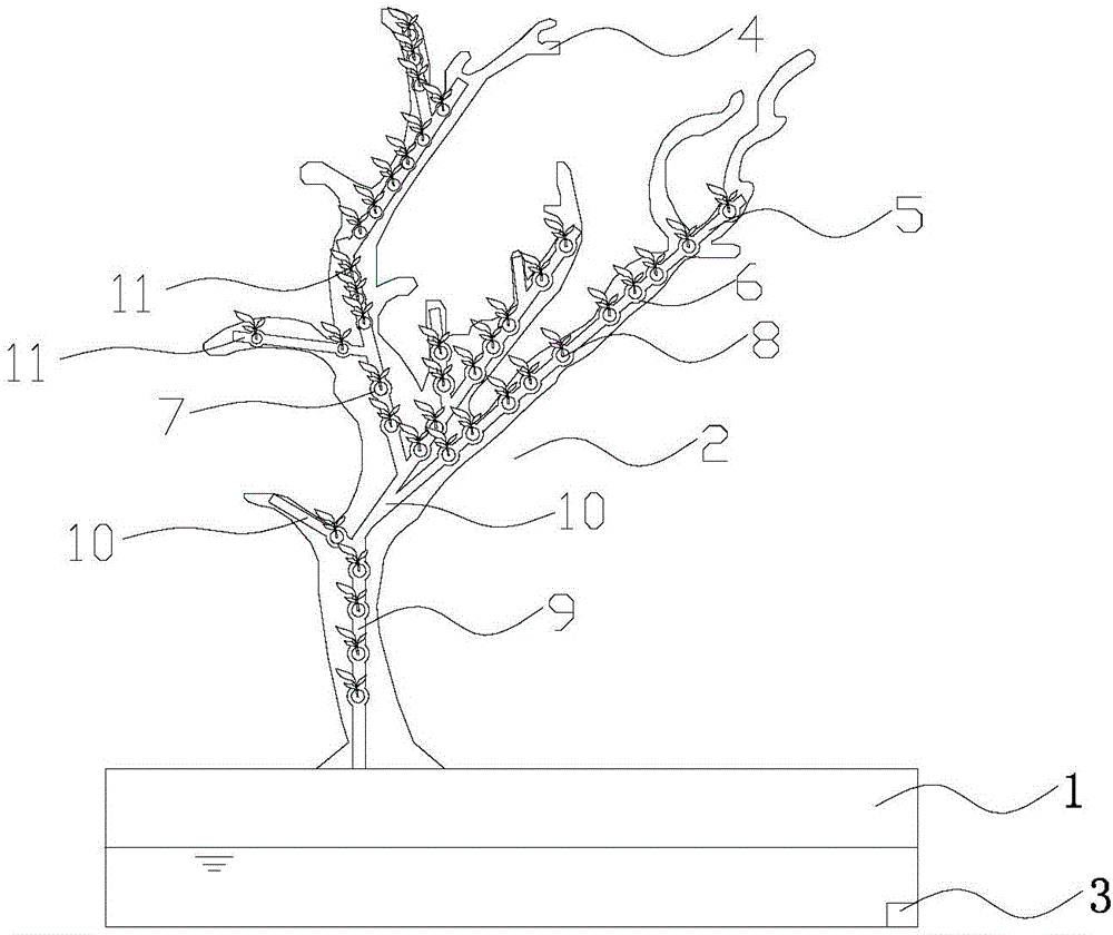 一種附生植物和魚共養(yǎng)的立體綠化系統(tǒng)的制作方法附圖